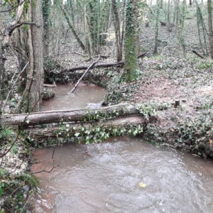 New leaky dam, Angidy catchment