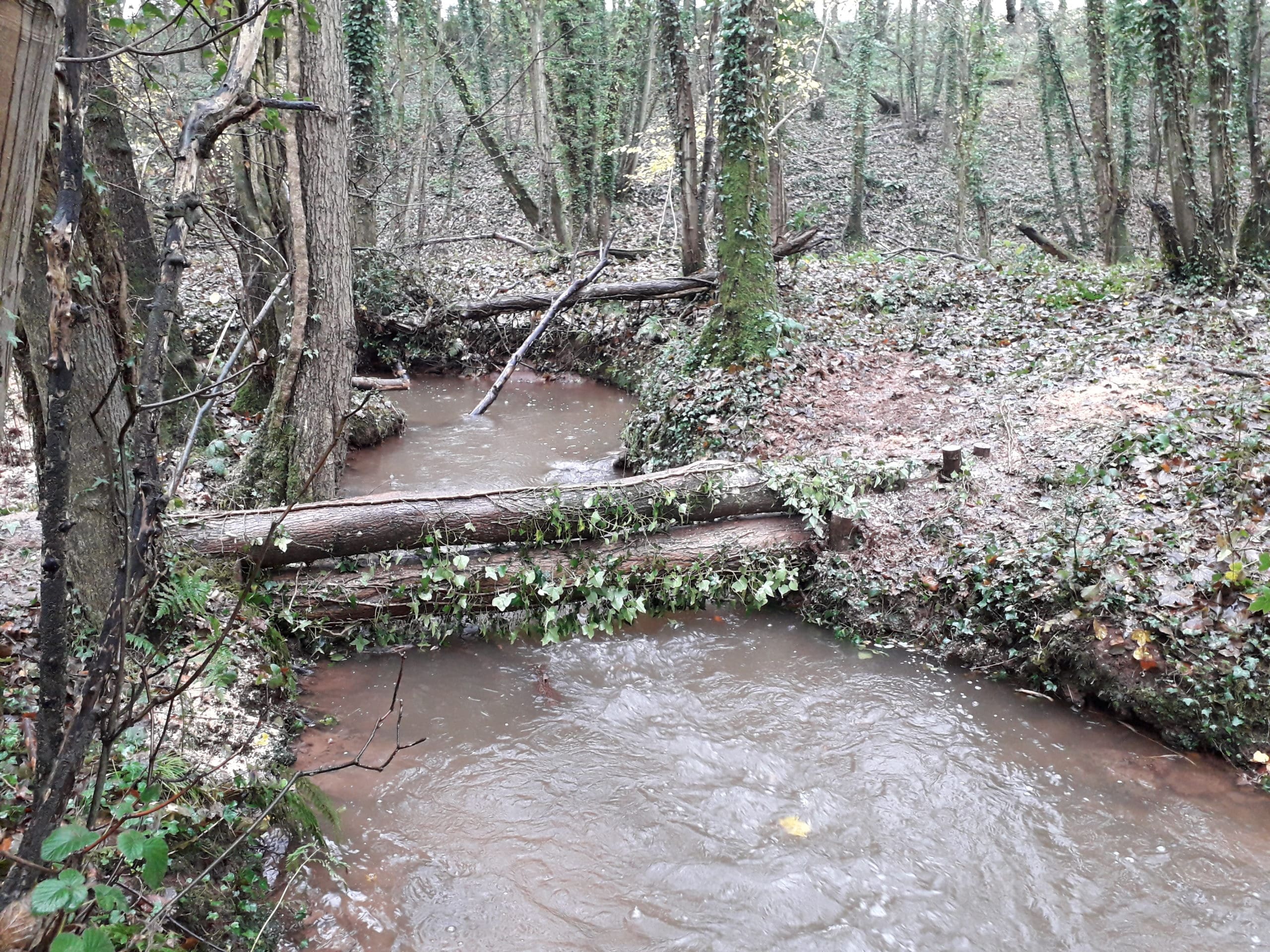 New leaky dam, Angidy catchment