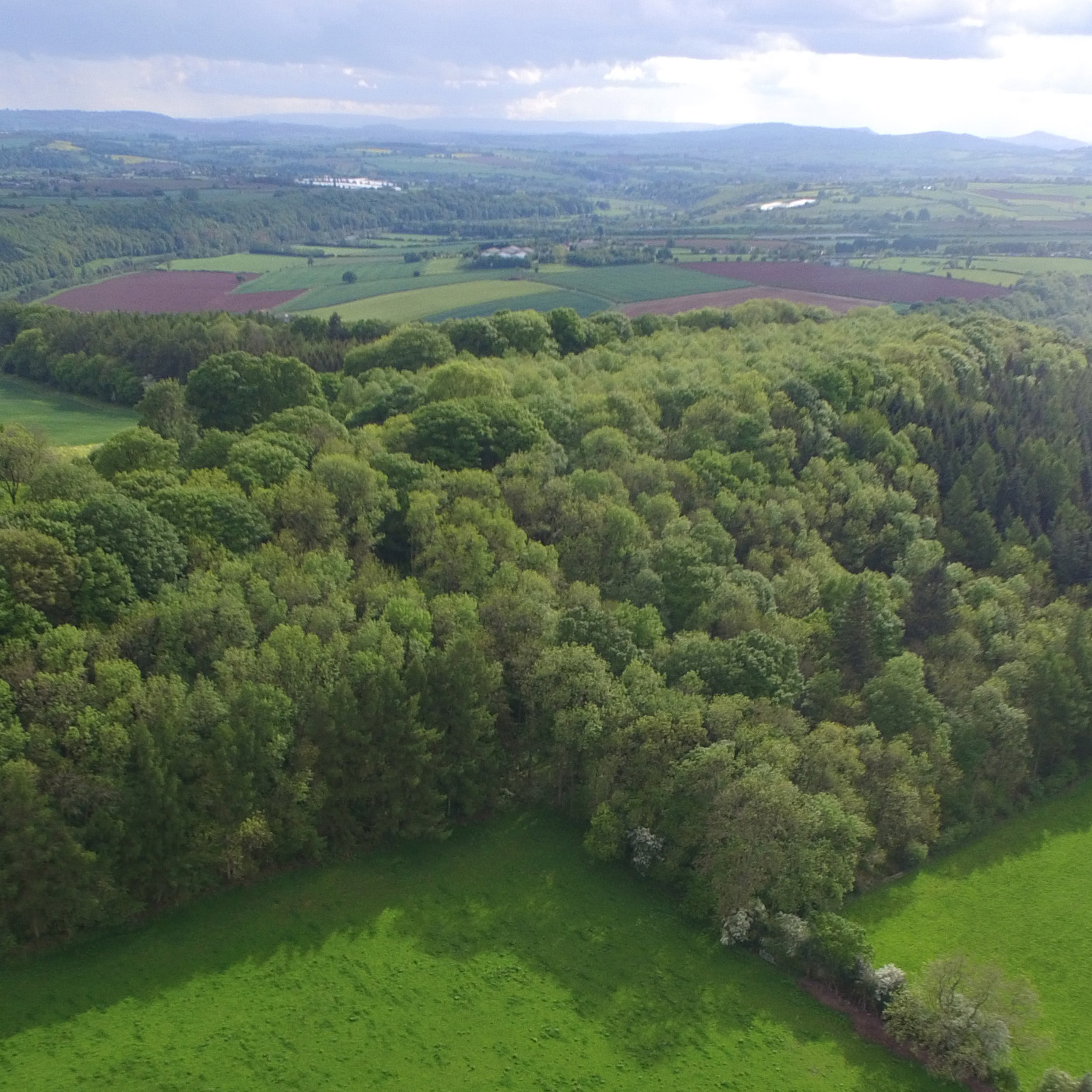 the Wye Valley