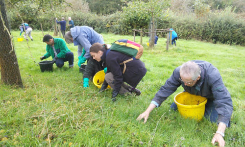 Apple picking Broomhill Farm