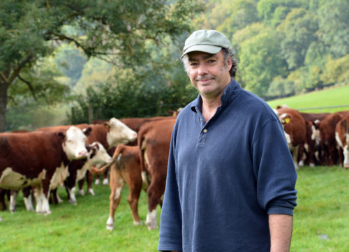 Courtfield farm simon cutter with cows