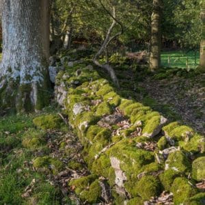 wye valley AONB projects