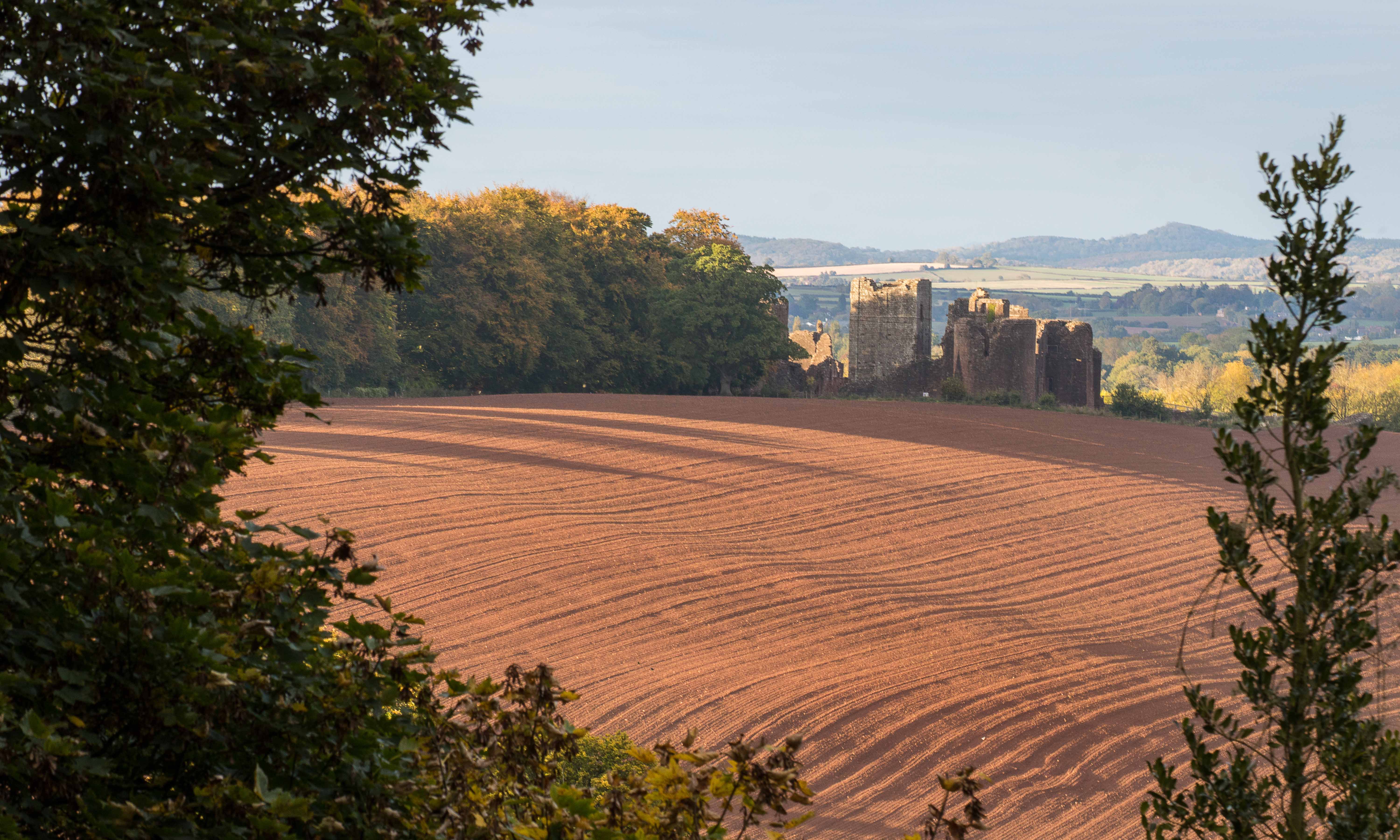 Goodrich over ploughed field Gemma Wood