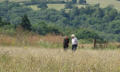 John Craven andrew Nixon court farm meadows