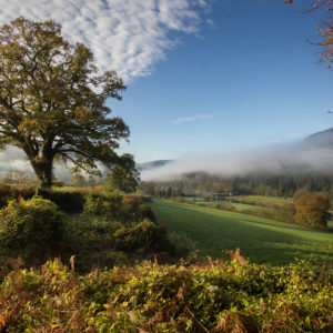 Caring for the Wye Valley