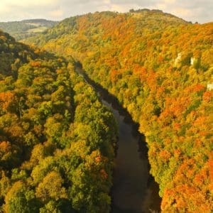 Wye valley woodlands