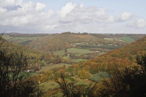 whitestoneandllandogo by linda 